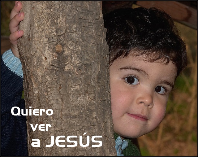 QUIERO VER A JESUS