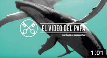 VÍDEO DEL PAPA-SEPTIEMBRE 2019. La protección de los océanos.