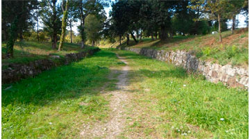 COMENTARIO AL EVANGELIO DEL 5º DOMINGO DE PASCUA – CICLO A. CAMINO QUE TRANSITAR