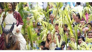 Debió ser un día primaveral. Comentario al Evangelio del Domingo de Ramos. Ciclo C